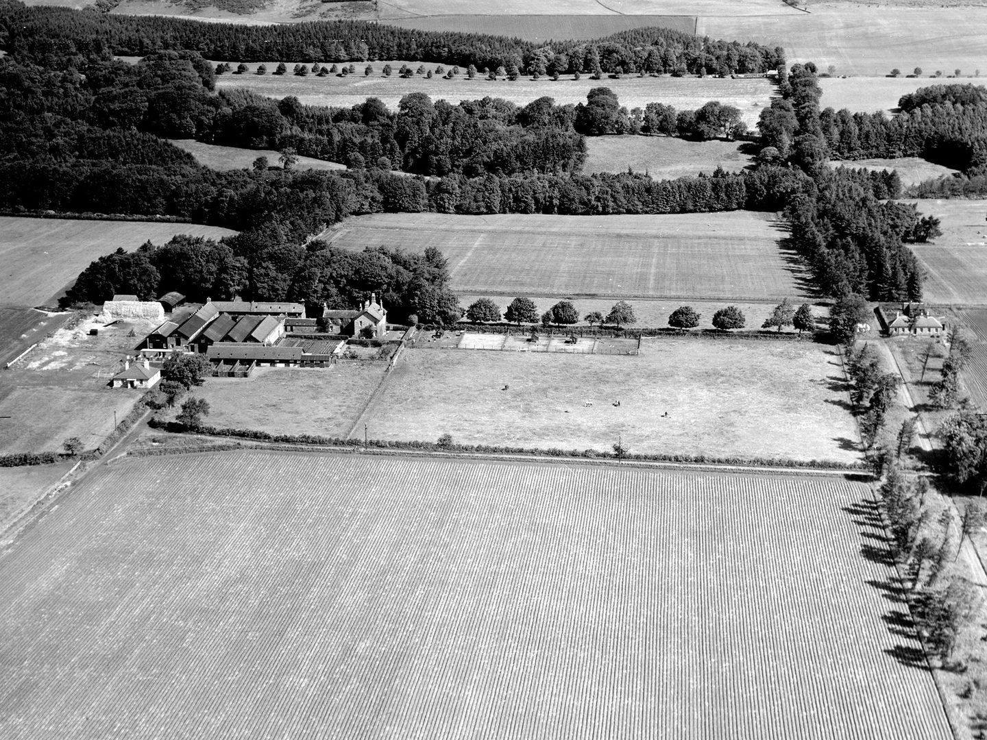 A historic black and white oblique aerial photo of fields divided by lines of trees. A farm complex is visible to the left of centre.