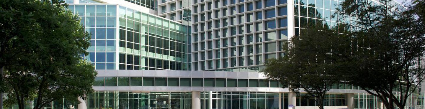 A large modern, multistorey building is the focus of the image. It is primarily made from glass sheets, with white panelling between them. Our view is partially obscured by large, low bushy trees, which are spaced in between areas of grass. Decorative paving is laid directly in front of us and leads to a low, sweeping glass entranceway.